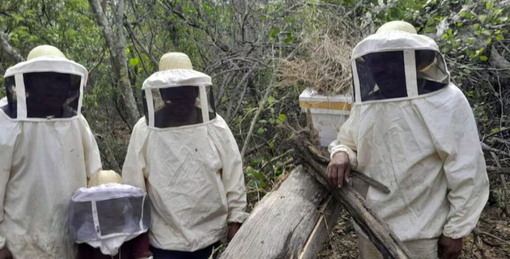 Honig aus dem Chaco: Indigene Produzenten verbinden zusätzliche Einkommen mit dem Schutz von Bestäubern und Biodiversität.