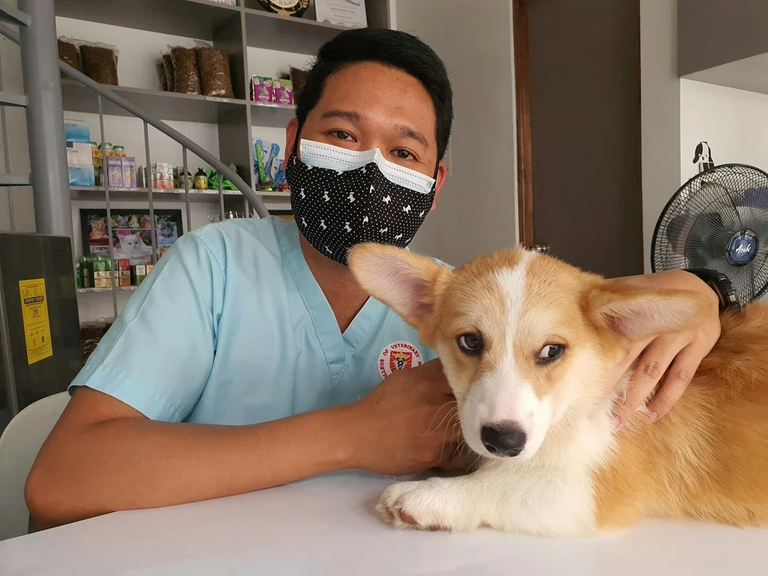 Mann mit Mundschutz sitzt neben einem Hund