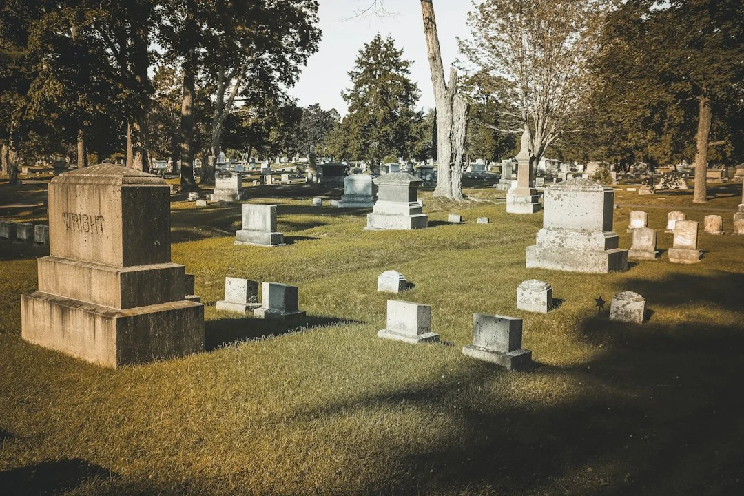 Grabsteine und Grabmäler auf einem Friedhof unter hohen Bäumen