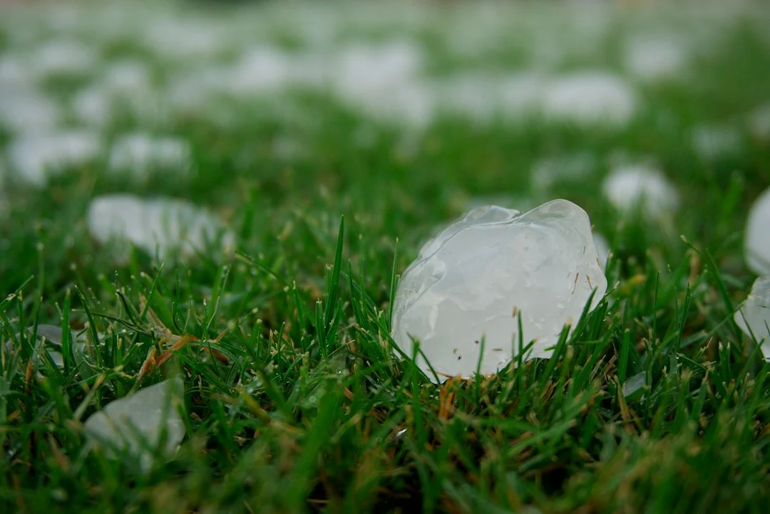 Hagelkörner liegen nach einem Gewitter verstreut auf einer grünen Wiese