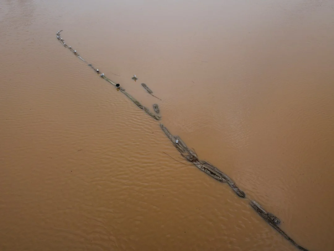 Fluss mit braunem, schlammigem Hochwasser nach starken Regenfällen