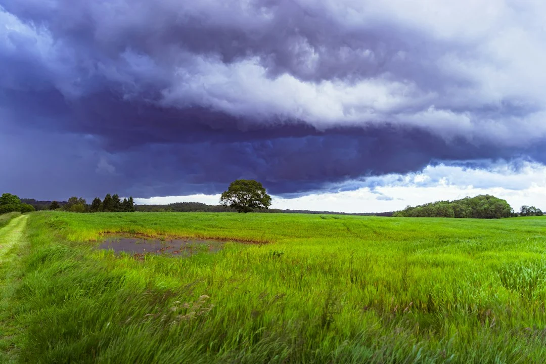 Dunkle Gewitterwolken ziehen über ein grünes Feld auf